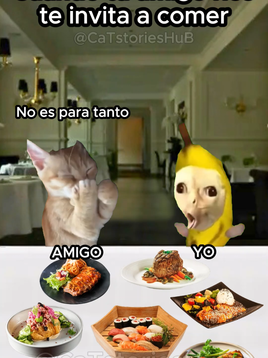 Cuando tu amigo rico te invita a comer #memes #catsoftiktok #funnyvideos ##funny #gatosgraciosos #gatos #parati #catlovers #storytime #fyp 