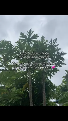 #fyp #fypviralシ #tiktokforyou #tiktokoffica #fypရောက် #fypရောက်စမ်း #fypရောက်ချင်မိ💕 