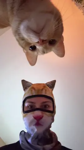 Me and twin 💕 #ad #viral #fyp #catmask #orangecatsoftiktok #tiktokshop 
