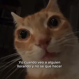 #goodvibess_xd #pinterest #michis #aesthetic #paradedicar 