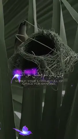 #CapCut #HolyQuran #powerful #GreatMuslim #viralvideo #unfreezemyacount #growupmyaccount 