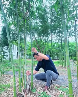 #กินหน่อไม้ #กับพี่ไหม #เทรนวันนี้ #🎋 🎋🎋#ความสุขของฉัน #อย่าปิดการมองเห็น #อยู่กับความเป็นจริง 