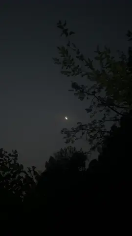 ‎پورا دکھ اور آدھا چاند  ‎ہجر کی شب اور ایسا چاند  دن میں وحشت بہل گئی  رات ہوئی اور نکلا چاند  کس مقتل سے گزرا ہوگا  اتنا سہما سہما چاند  یادوں کی آباد گلی میں  گھوم رہا ہے تنہا چاند  میری کروٹ پر جاگ اٹھے  نیند کا کتنا کچا چاند  میرے منہ کو کس حیرت سے  دیکھ رہا ہے بھولا چاند  اتنے گھنے بادل کے پیچھے  کتنا تنہا ہوگا چاند  آنسو روکے نور نہائے  دل دریا تن صحرا چاند  اتنے روشن چہرے پر بھی  سورج کا ہے سایا چاند  جب پانی میں چہرہ دیکھا  تو نے کس کو سوچا چاند  برگد کی اک شاخ ہٹا کر  جانے کس کو جھانکا چاند  بادل کے ریشم جھولے میں  بھور سمے تک سویا چاند  رات کے شانے پر سر رکھے  دیکھ رہا ہے سپنا چاند  سوکھے پتوں کے جھرمٹ پر  شبنم تھی یا ننھا چاند  ہاتھ ہلا کر رخصت ہوگا  اس کی صورت ہجر کا چاند  صحرا صحرا بھٹک رہا ہے  اپنے عشق میں سچا چاند  رات کے شاید ایک بجے ہیں  سوتا ہوگا میرا چاند  ❤️‍🩹🌙 #foryou #fypシ゚ #poetry 