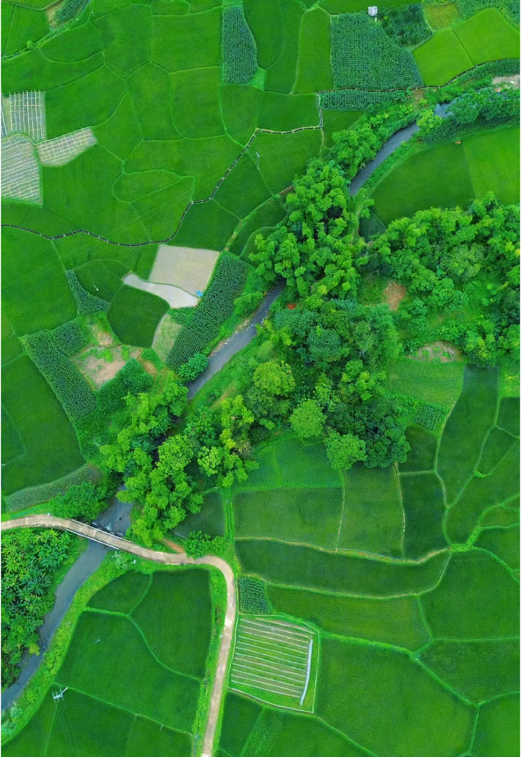 Có nét không 🤨 #f22s3 #flycam #dji #djimini3 #sirc #mavic3pro #mavic3pro 