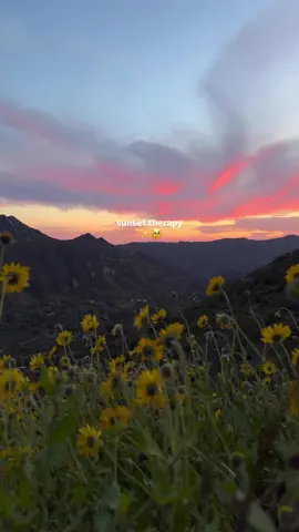 cheaper than actual therapy and works pretty well too ✨🤣 ✨send this to someone you want to watch a sunset with!  #sunsetlovers #Outdoors #naturetherapy #nature #outdoorsy #sunsetlover #sunset #beautifuldestinations 