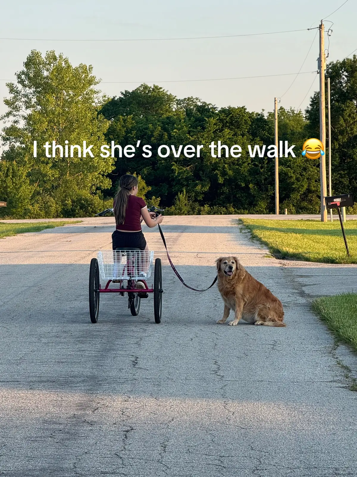 #bff #walking #dogsoftiktok #goldenretriever #overit 