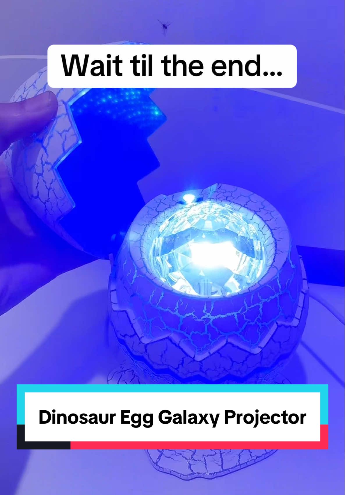 This dinosaur egg galaxy projector is so cool!  #galaxyprojector #starprojectornightlight #starprojector #galaxyprojectorlamp #nightlight #dinosaurthemedroom #kidsroom #starprojectors #tiktokshopcreatorpicks 