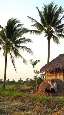 #binhyen #kíuctuoitho #kíucdep #bìnhyênnơiđâu #kyniemxua 