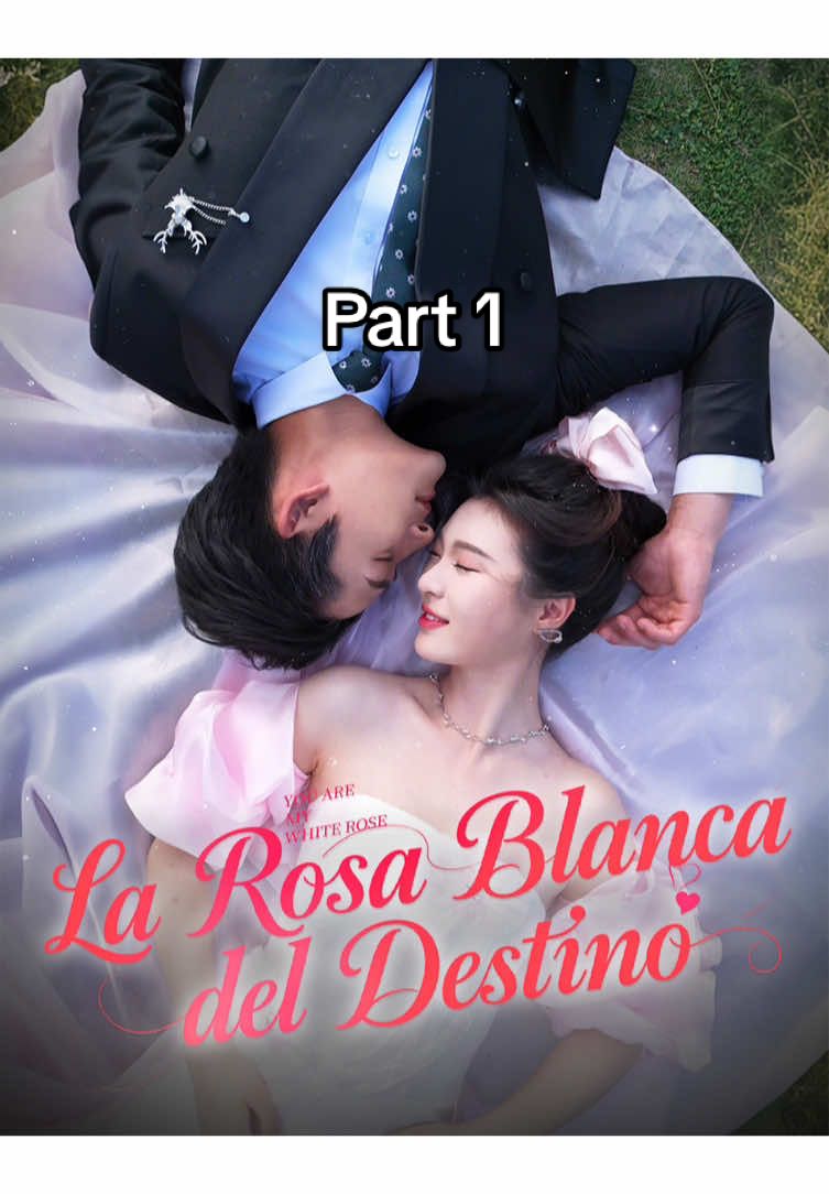 La Rosa Blanca del Destino part1 #shorttv #fyp #foryoupage #flickreels #shortmovie #drama 