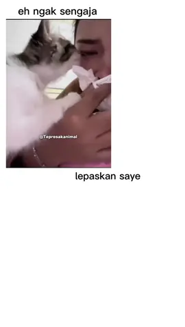 cengeng benar😹#vidiolucu#dubbing#vidioviral#kucinglucu 