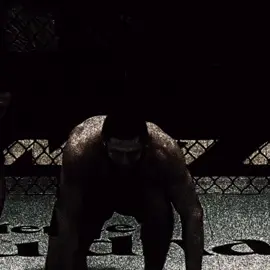 You can ask the flowers” #khamzatchimaev #edit #UFC 
