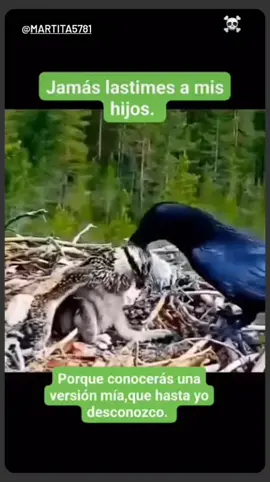 JAMAS LASTIMES MI HIJOS, POR QUE CONOCERAS la versión mía,  QUE HASTA YO  DESCONOZCO #☠️ #publicotiktok #publico #video #videoviral #visualizaciones 