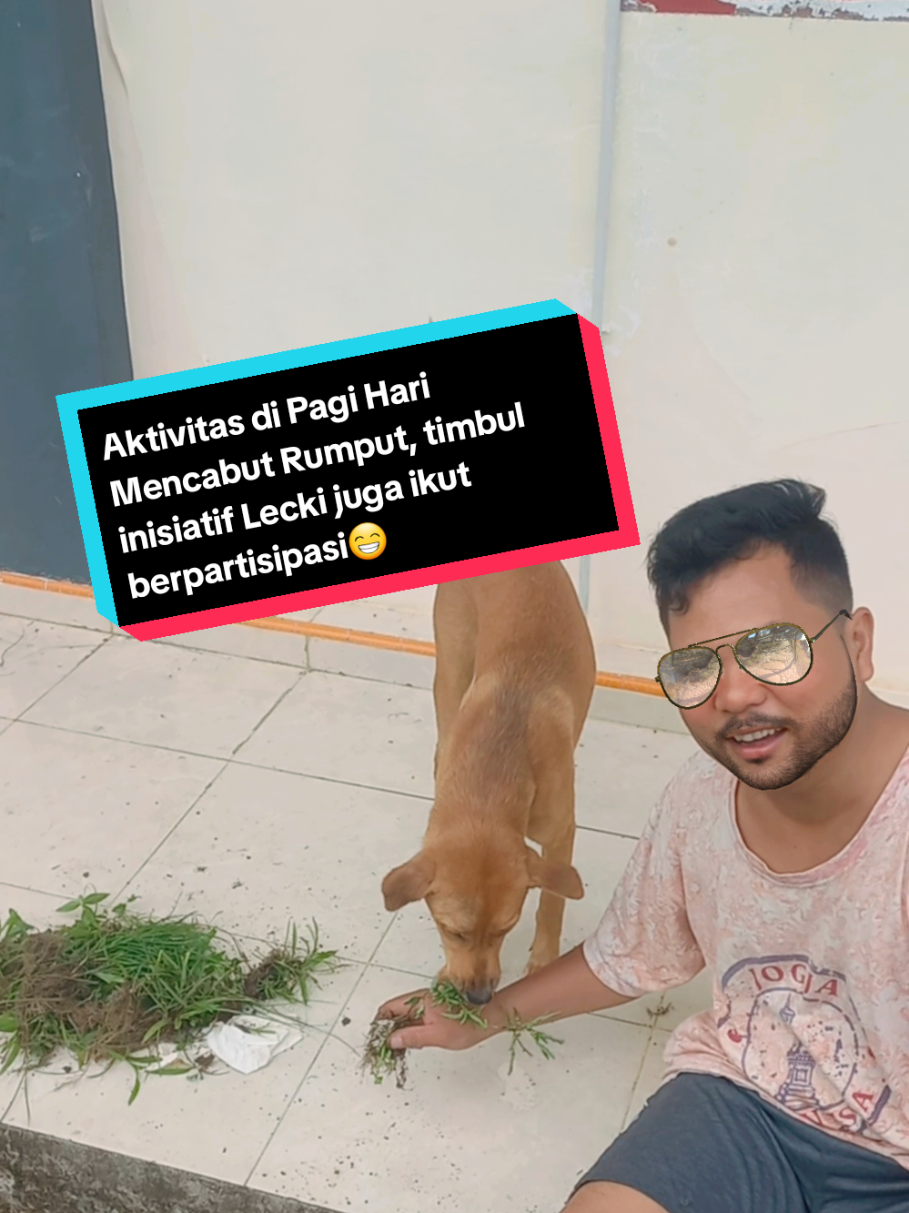 #CapCut #viraltiktok #fyp #dog #dogsoftiktok #mussodog @oktovia 