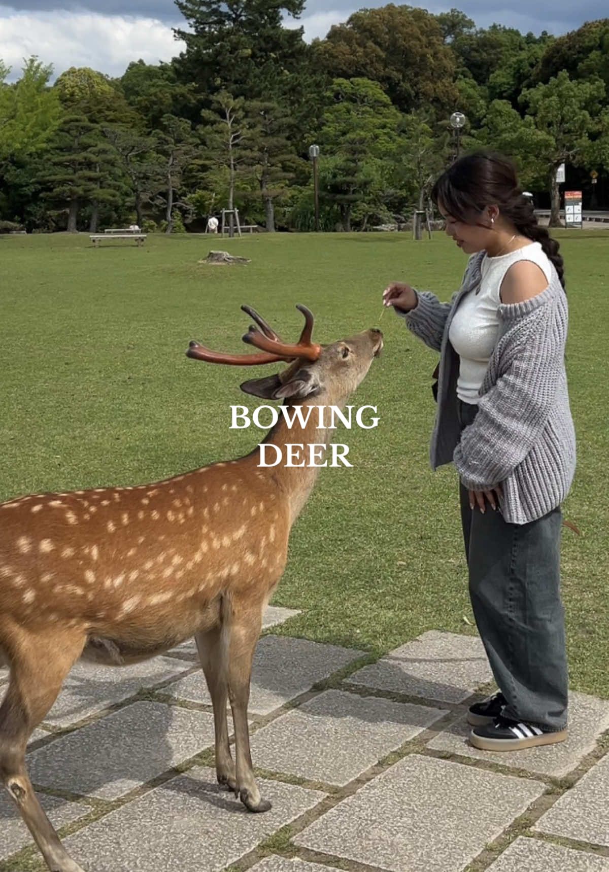 definitely a highlight of my japan trip 🦌🌟  #bowingdeer #narapark #japantiktok 