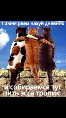 Мытищи #мытищи #алкоголь #essa 