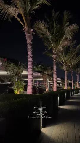 #اكسبلور 