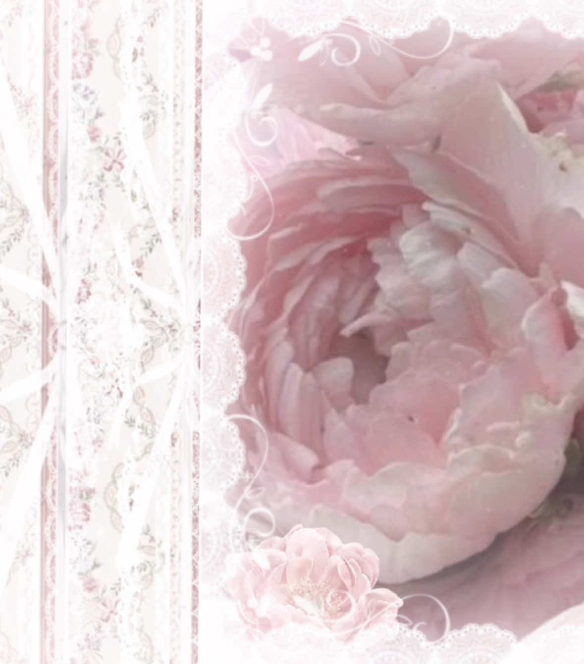 Replying to @مايا 😎 #peonies #peoniesflowers #peony #peonyflowers #flowers #moodboard #fyp #fypシ #foryoupage #mood #board 