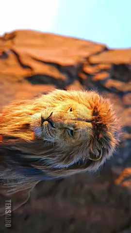Beauty of Mufasa #mufasa #4k #120fps #aesthetic #movie