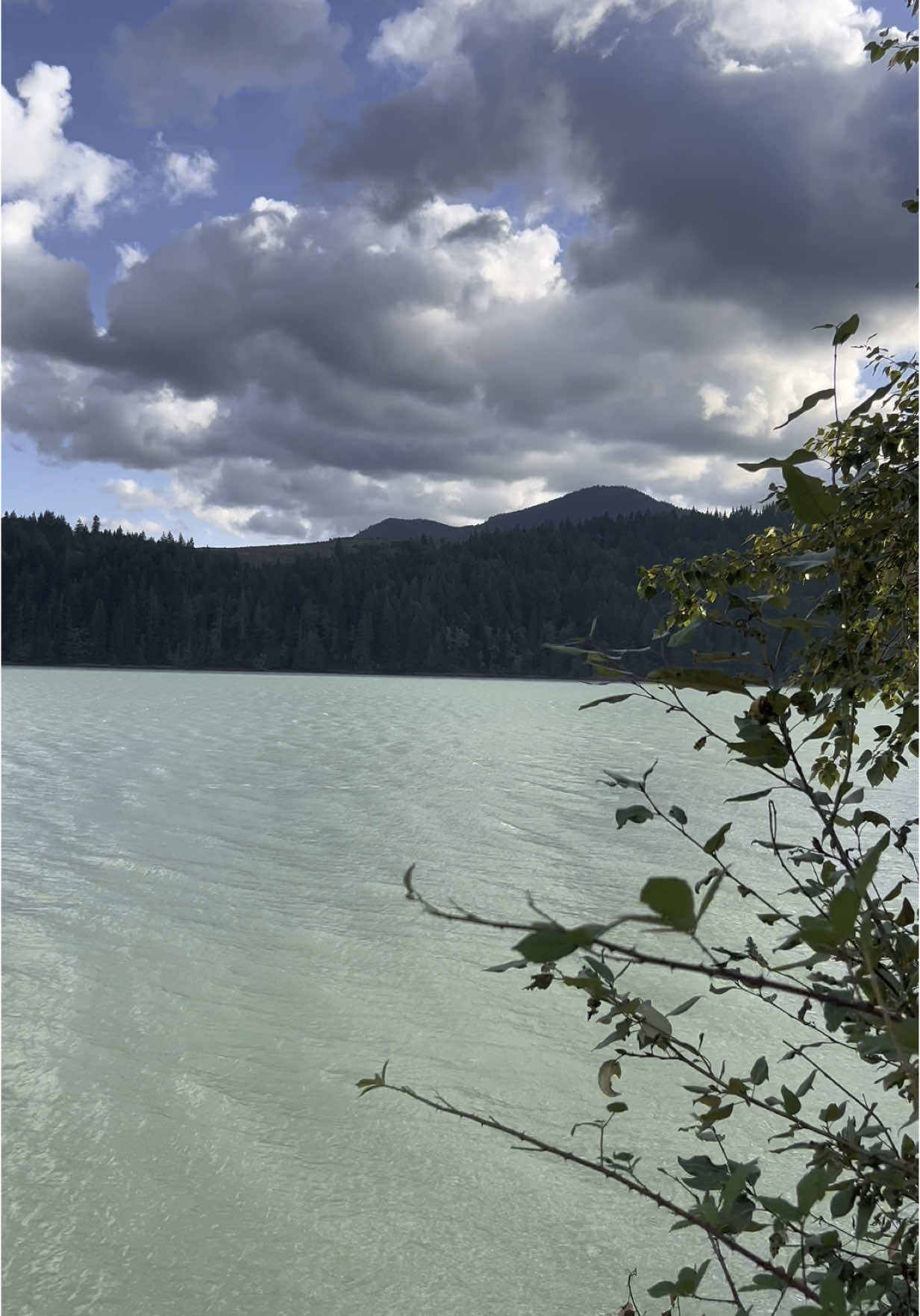 #mountrainier #lake #fyp #washington #paratii #paratii #foryoupage 