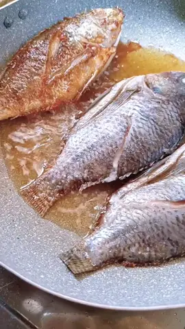 Perfect combo ulam ginataang Bagongon at pritong tilapia😋