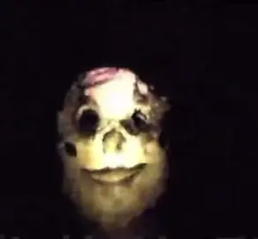 none of this is real . . .  #reels #jumpscare #fear #screaming #creepyvibes #scaryvideo #spookyvibes #terrifying #unnerving #icantwatch #scary #frightnight #chilling #Spooky #chills  #eerie #goosebumps #sinister #3am #night #terrified #creepy  #veryscary #alarming #creature #screams #scream #creatures #watching #horrifying 