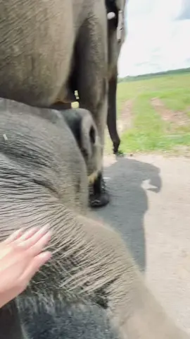 Bocah usil diusilin balik🐘🤏🏻 Siapa lagi klo bukan Nisa😼