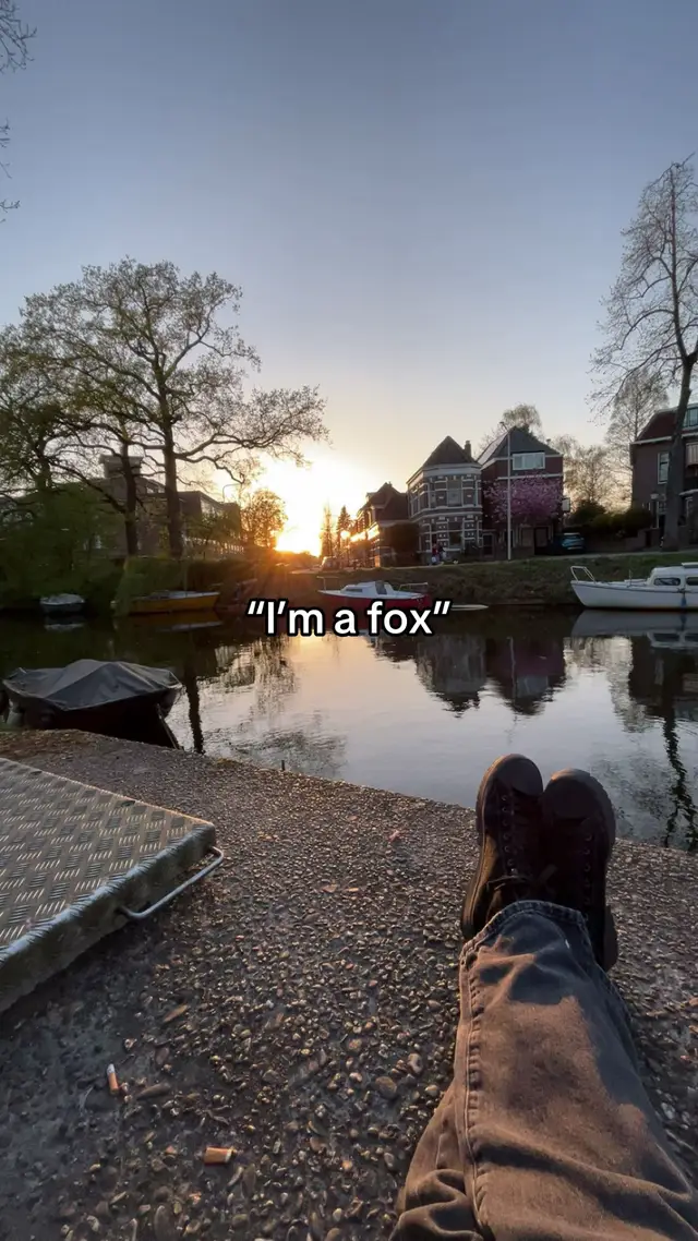I guess 🤷🏻‍♂️ #fox #fyp #gay #fypシ #trending #foryou #me 