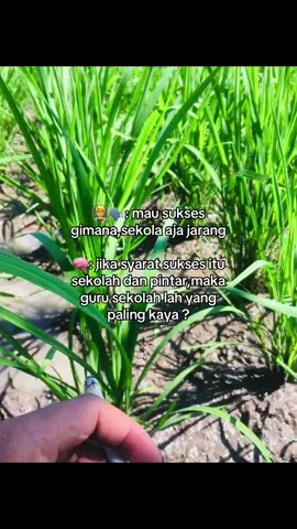 🧠,tetap di jalur pertanian aja#petanimuda #fypシ゚ #petani 