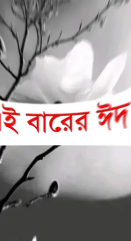 এই বারের ঈদ আমার জীবনের  ভয়ংকর ঈদ  #fouryou তে যাবে ইনশাল্লাহ   #fouryou #tiktok #Kawsar Ahmed 
