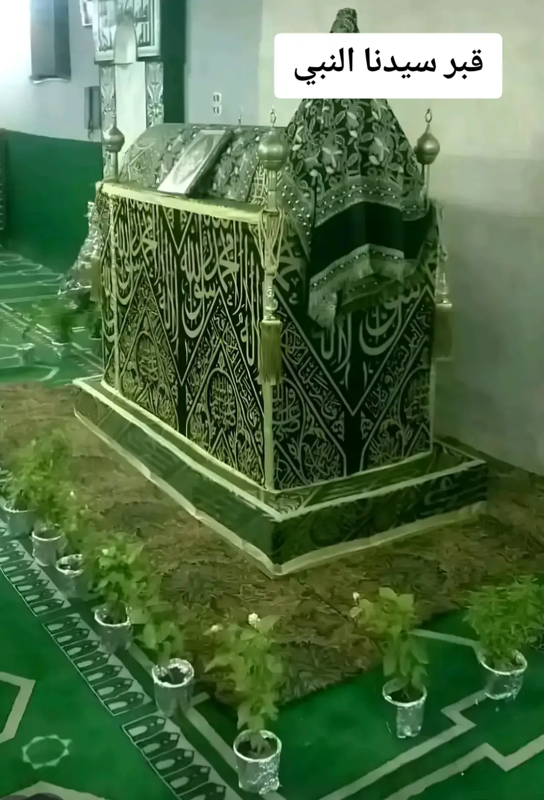#قبر-سيدنا-النبي
