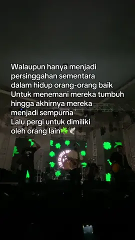 believe it will get better☘️🕊️ @The Cloves and The Tobacco  #theclovesandthetobbaco #celticpunk #tcatt🍀🍀 #quotes #☘️ 