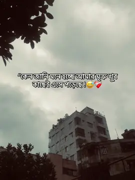 “কেন জানি মনে হচ্ছে আমার মৃত্রু খুব কাছেই এসে পড়েছে !##CapCut #as_akash_official_1 #trending #foryoupage #foryoupageofficiall #viral #viralvideo #foryoupagе @TikTok Bangladesh @For You @TikTok 