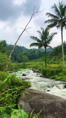 Sampurasun,Jalan”jalan ke sungai#reels__tiktok #kampungkuring #lemburkuring #pesawahandipedesaan #rumahpinggirsawah #perbatasangaruttasikmalaya #viraltrending #fyp #fyp 