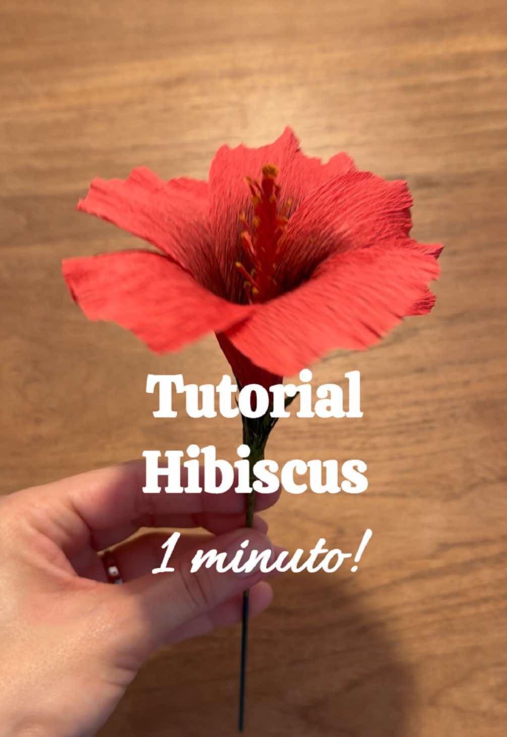 Tutorial Hibiscus en 1 minuto! 🌺 #handmadecrepepaperflowers #paperflower #diybride #handmadepaperflowers #crepeflowers #florespapelcrepe #crepeflower #handmade #floresdepapel #DIY #tutorial #floresdepapelfacilesdehacer #hibiscus #papercraft #paper 