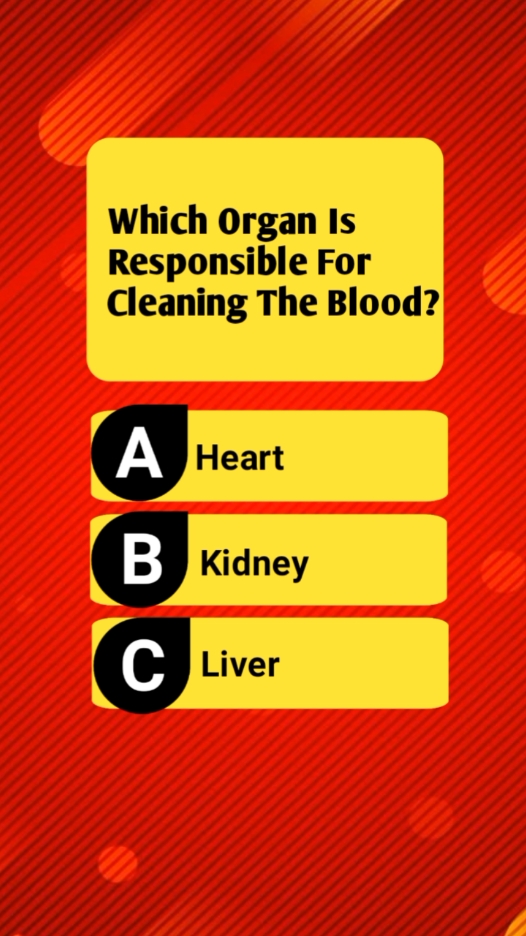 General Knowledge Quiz #genralknowledgequiz #brainquiz #Quiz #quiztime 