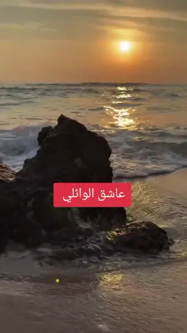 #عميد_المنبر_احمد_الوائلي #الشيخ_احمد_الوائلي_رحمه_الله #المنبر_الحسيني_توعية_فقه_أدب_أخلا #المحتوى_الهادف 