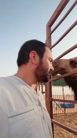 #ابوعايش 