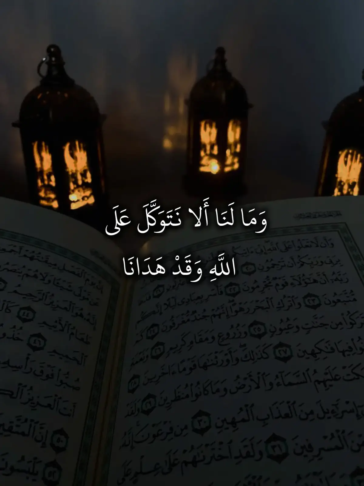 سورة إبراهيم 🤍  #قران_كريم #صدقه_جاريه #ماهرالمعيقلي 
