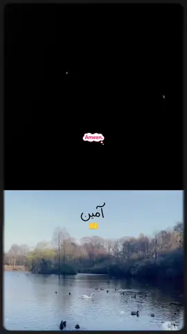 #CapCut_islamic_video_foryoupage❤️🤲.      #786_sk_viral_video_😔🙏 @@_sofi_786 ❤️‍🔥@@_sofi_786  #@@_sofi_786 🤲🤲🤲🤲👈