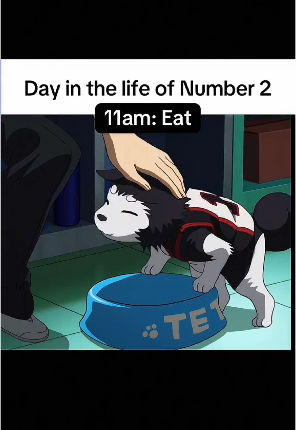 Replying to @N/Y Number 2’s Daily Routine | Kurokos Basketball #anime #animeedit #edit #kurokonobasket #kurokosbasketball #tetsuya #kagami #kagamitaiga #kuroko #number2 #kurokotetsuya #serin 
