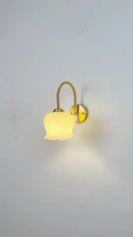 ĐÈN TƯỜNG PHÒNG NGỦ. #tongkhodennoidiatrung #homedecor #denled #denoptran #dentuong #dentuongdong 