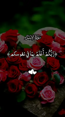 #راحة_نفسية #القران_الكريم  #اكتب_شي_توجر_عليه #قران #quran #qu_ran_n #القرآن #qu_ran_n؛؛قرآن #quran_alkarim #القران_الكريم #quran …﻿﻿﻿﻿﻿﻿﻿﻿﻿﻿﻿﻿﻿﻿﻿﻿﻿﻿﻿﻿﻿﻿﻿﻿﻿﻿﻿﻿ارح سمعك ♡#القرأن #قرأن_كريم #تلاوات #تلاوات_خاشعة #قلبي_اطمأن #ارح_سمعك_بالقران #القرأن_الكريم #راحه_نفسيه #قرأني_حياتي♡ 