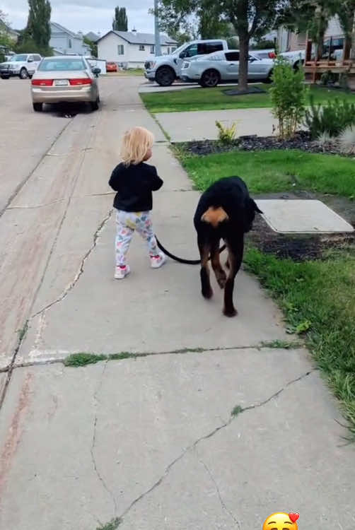 Dogs are the best guardians 🥰🥰#tiktok #Love #usa🇺🇸 #doglover #baby #cute #protect 