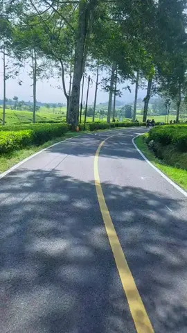Beautiful ciwidey✨️🍃 #ciwidey #bandung #foryoupage #fyp 