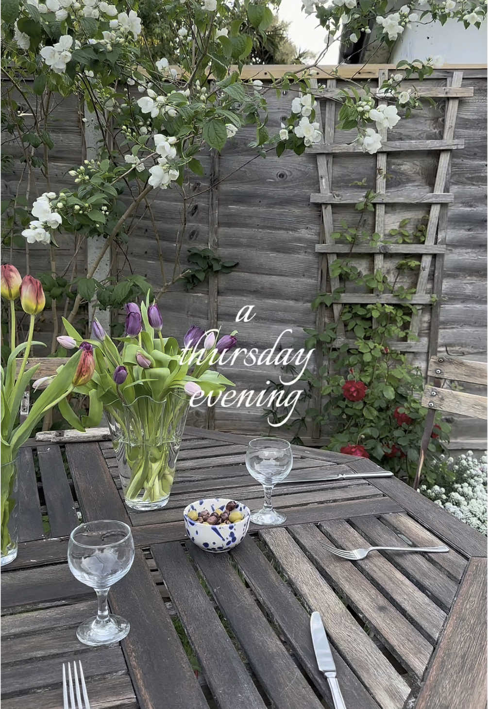 documenting a peaceful evening after work 🧚🏻😌 #evening #Summer #wholesome #pinterest #routine #9to5 #slowliving 