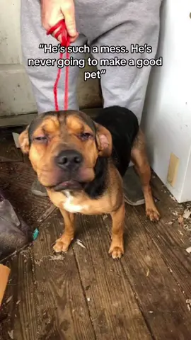 #lifewithlady 