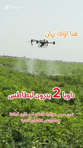 #الفلاح #المغرب #المغرب🇲🇦تونس🇹🇳الجزائر🇩🇿 #الدار_البيضاء #مراكش #طنجة 