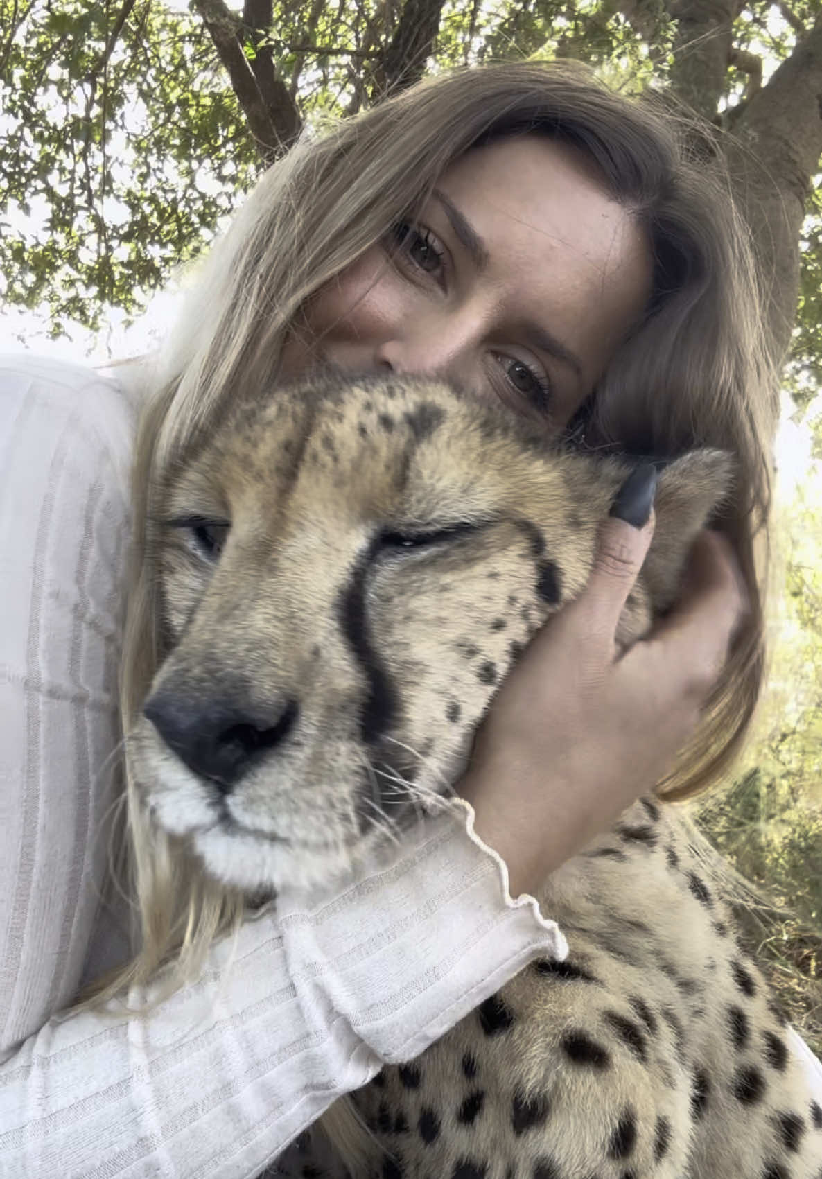 Love moments w my girl 💖 #cheetah #cheetahpurr #fyp 