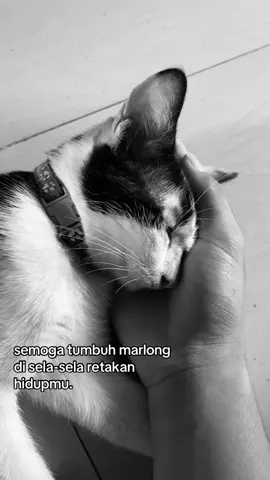 😓.     #cigarettesaftercry #fyp #marlong 