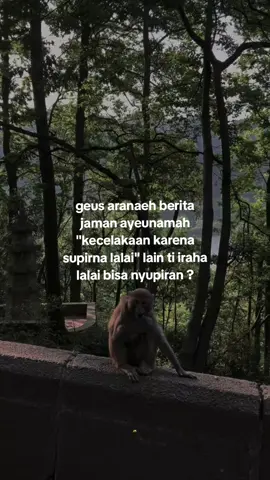 konyol 🗿 #capruk #storysunda #monyetgalau #atuheuy 